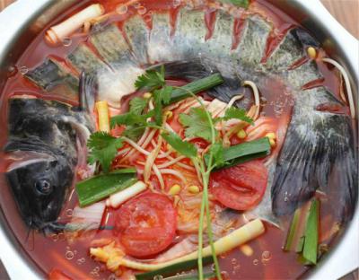 成都火鍋魚技術(shù)培訓(xùn)學(xué)校哪家正規(guī)？