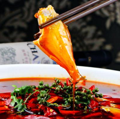耗兒魚(yú)技術(shù)培訓(xùn)在哪里學(xué)？